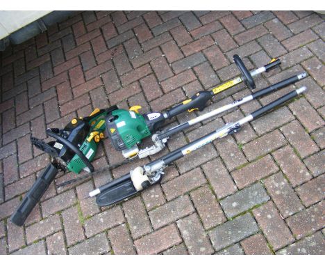 A petrol driven chainsaw together with a petrol driven multi-tool