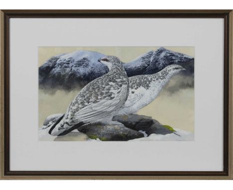 * JAMES RENNY (b. 1946),PTARMIGAN IN SNOWgouache on paper, signed, image size 22.5cm x 34.5cm, overall size 41cm x 52cmMounte
