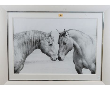 FINE ART PRINT:  Two horses nose to nose, a black and white print, 45.4cm x 68.5cm within mount, Quintessa Art Collection, 20