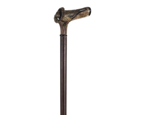 *Walking Stick. A modern walking stick, with deer antler handle carved as a Thrush nesting within the antler on a beech shaft