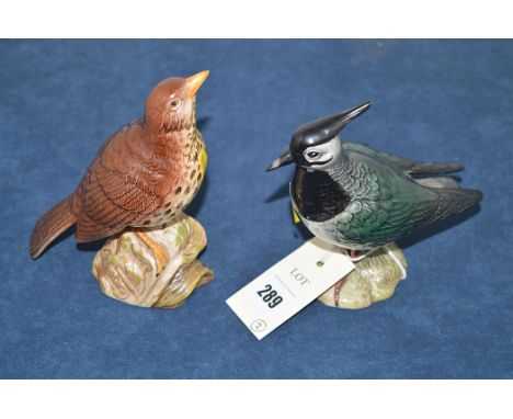 A Beswick model of a Lapwing No.2416; and another of a Songthrush, No.2308.