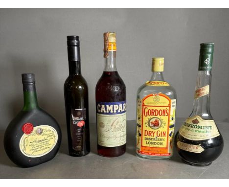 A selection of spirits (5) to include: Armagnac, Campari, Winzer Kuss liquer, Gordons Dry Gin and Freezomint Creme de Menthe