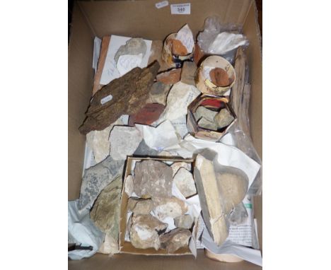 Collection of assorted archaeological stones and architectural curiosities