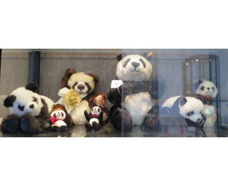 Seven pandas by Steiff 43cm, Hermann and Isabelle (7) 