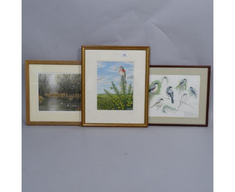 S Message, watercolour, bird and butterfly, 28cm x 21cm, group of bird sketches by the same hand, and a pencil signed print, 