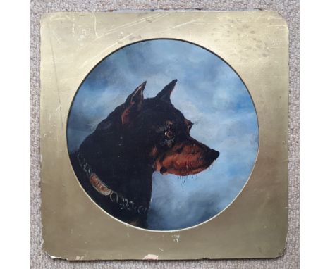 19thC School - Circular oil on board - Head portrait of a dog, 10.5" diameter.