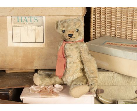 Willingham - a small 1920s Farnell Teddy Bear,  with blonde mohair, flat black boot button eyes, pronounced muzzle, blacks st