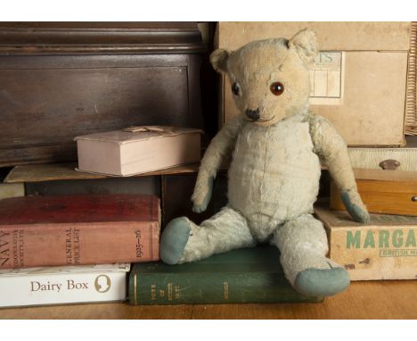 Old Blue - a 1930s Chiltern type blue mohair Teddy Bear, with orange and black glass eyes, pronounced clipped muzzle, black s