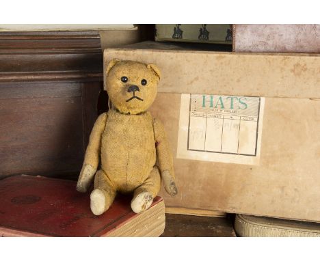 Somerton - a 1920s Schuco yes/no Teddy Bear,  with golden mohair, black boot button eyes, pronounced muzzle, black stitched n