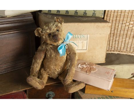 Kensington - an early Steiff Teddy Bear 1908, with cinnamon mohair, black boot button eyes, pronounced clipped muzzle, black 