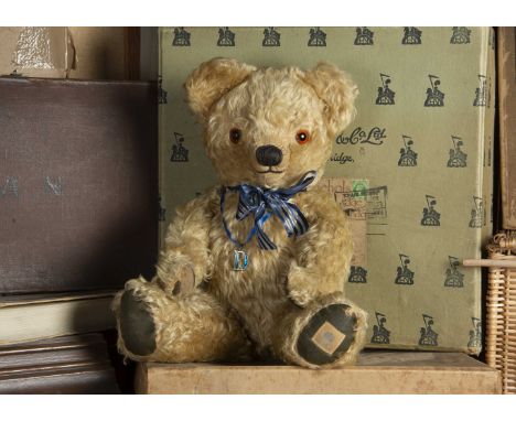 Dyson-Perrins - a post-war Chad Valley Teddy Bear, with curly blonde mohair, orange and black glass eyes, pronounced clipped 