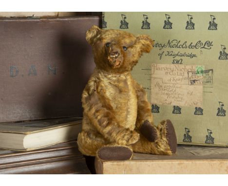 Richmond - an early Steiff Teddy Bear circa 1910,  with golden mohair, black boot button eyes, pronounced clipped muzzle, rem