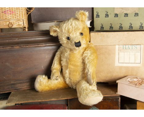 Teddy Wilton - 1930s Chiltern type Teddy Bear, with golden mohair, clear and black glass eyes with remains of brown painted b