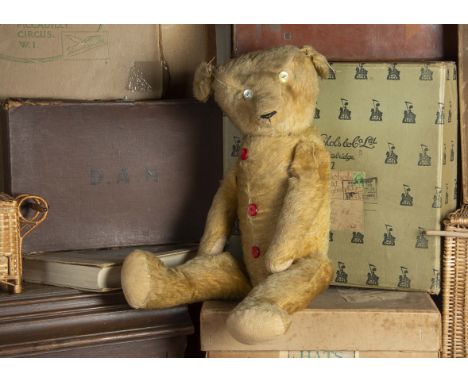 Linton Hall - a German 1920s Teddy Bear,  with golden mohair, replaced button eyes, pronounced muzzle, black stitched nose, s