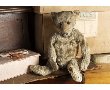 Egerton - an early Steiff white mohair Teddy Bear circa 1910, with black boot button eyes, pronounced clipped muzzle, brown s