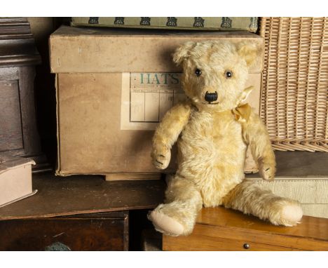 Bromyard-Boz - a 1930s Chiltern type Teddy Bear, with golden mohair, clear and black glass eyes with remains of brown painted