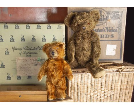 Fairbanks and Gable - two Knickerbocker Teddy Bears,   Fairbanks with brown mohair, orange and black glass eyes, slight muzzl