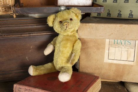 Teddy Sandgate - an American 1920s Teddy Bear, with golden mohair, orange and black glass eyes, pronounced muzzle, remains of