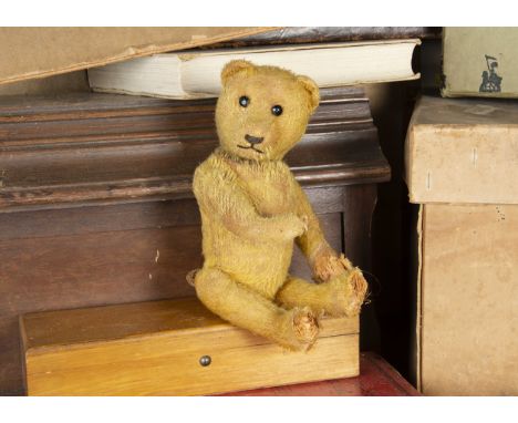 Blackford Hill - a 1920s Schuco yes/no Teddy Bear, with black boot button eyes, pronounced muzzle, black stitched nose and mo