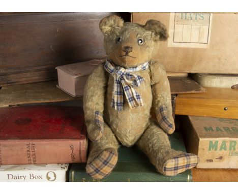 Teddy Mooney - an early British Teddy Bear 1915-20, with blonde mohair, clear and black glass eyes, pronounced muzzle, black 