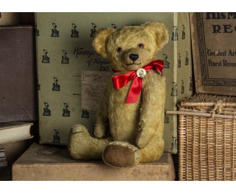 Oscar Gavenny - an early British Teddy Bear with chimes 1915-20,  with golden mohair, clear and black oily eyes with brown pa