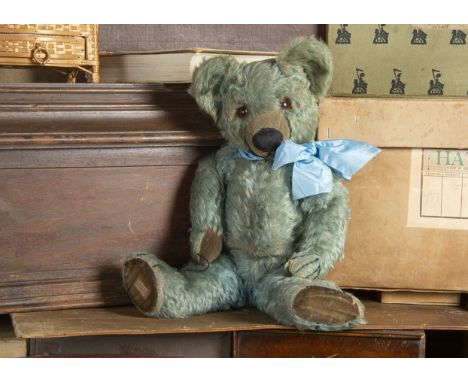 Thomas Morgan - a rare Chad Valley blue mohair Teddy Bear 1930s, with orange and black glass eyes, pronounced clipped muzzle,