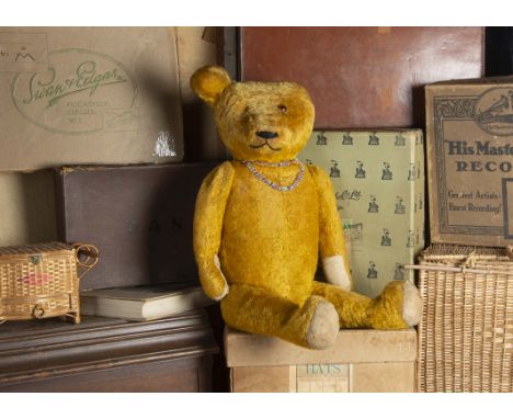 Goldsworthy - a large German 1920/30s Teddy Bear, with golden mohair, orange and black glass eye, pronounced muzzle, black st