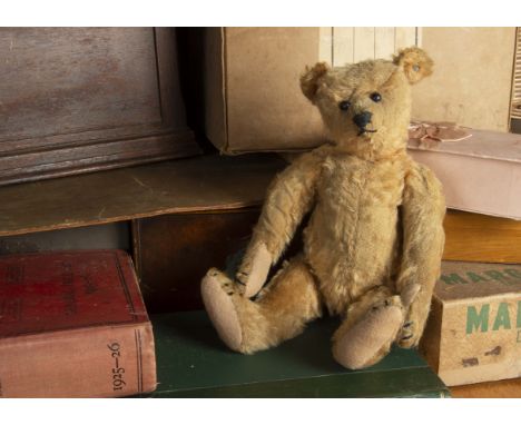 Wotton - an early Steiff Teddy Bear circa 1908, with apricot mohair, black boot button eyes, pronounced clipped muzzle, black