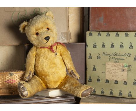 Fairweather - a 1940s Chiltern Hugmee Teddy Bear,  with golden mohair, orange and black glass eyes, pronounced muzzle, black 