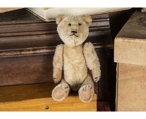 Oatcakes - an American Teddy Bear 1910-20s, with light beige mohair, black pin eyes, pronounced muzzle, black stitched nose a