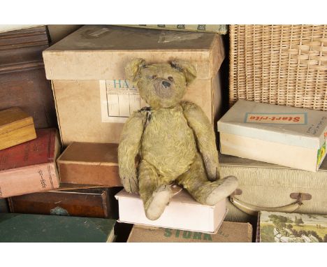 Trelissick - an early British Teddy Bear 1910-20,   with light golden mohair, replaced brown boot button eyes, pronounced muz