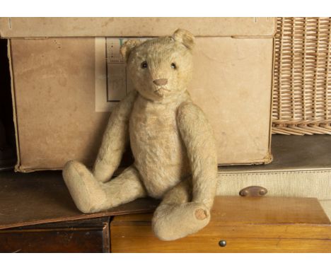 Chudleigh Bun - a Steiff white mohair Teddy Bear circa 1920, with clear and black glass eyes with brown backs, pronounced muz