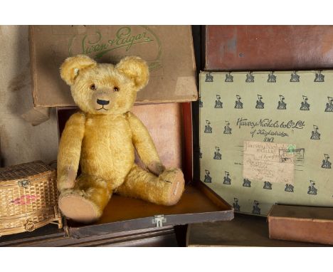 Barley Meadow - a Chad Valley 1930s Teddy Bear, with golden mohair, orange and black glass eyes, pronounced clipped muzzle, b