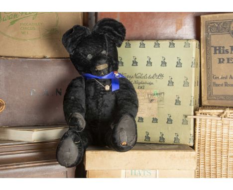 Ebony - an unusual black plush Teddy Bear 1930s,  probably British with black silky wool plush, pronounced muzzle, grey or wh