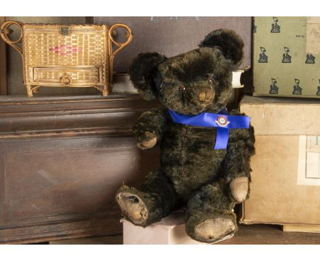 Thurloe - a rare Knickerbocker black mohair Teddy Bear 1930s, with clear and black glass eyes with brown painted backs, prono