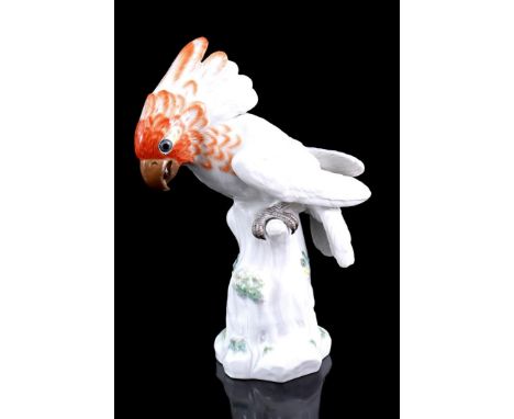 Meissen porcelain catatoo, model number 57B, 25.5 cm high