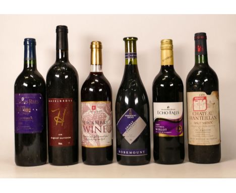 Six Bottles of Vintage Wine to include 1999 Chateau Hanteillan, 1995 Chateau Belles Rives, 2009 Echo Falls Merlot, Blackberry