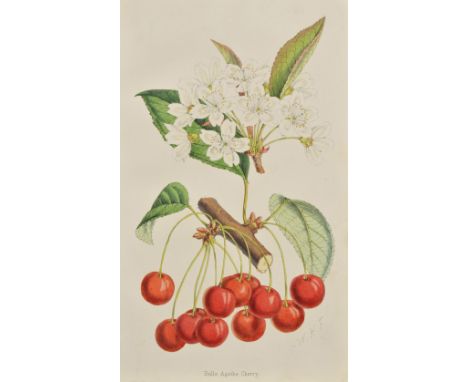 Hogg (Robert & Moore Thomas). The Florist and Pomologist: A Pictorial Monthly Magazine of Flowers, Fruits, and General Hortic