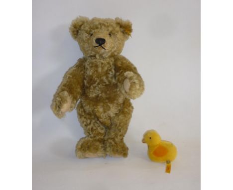 A Steiff replica teddy bear in pale gold plush with growl and button to ear, 14" high, and a small Steiff duck "Pilla" with h