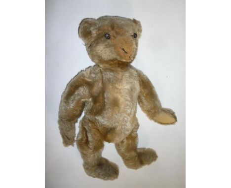 A Steiff teddy, early 20th century, "Wilf", covered in old gold plush, with black button eyes (no ear button), shaved nose, s