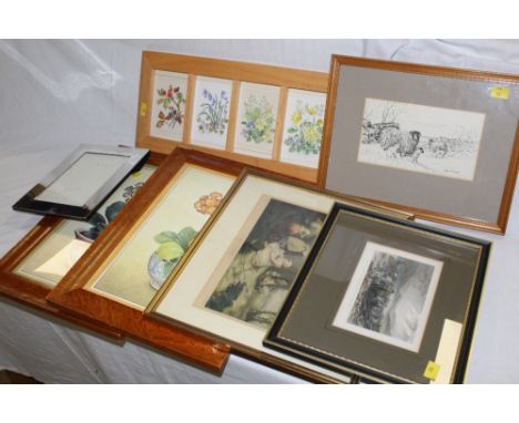 A framed set of six Patience Arnold floral botanical watercolour studies in a modern Beechwood frame and sold together with s
