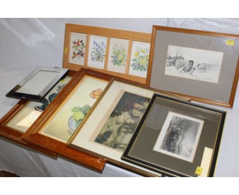 A framed set of six Patience Arnold floral botanical watercolour studies in a modern Beechwood frame and sold together with s