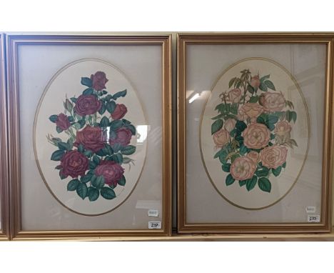 J A Low, a set of four, prints of roses, signed in pencil, oval, 45 x 32 cm (4)