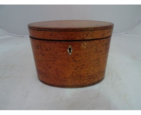 A Regency sycamore tea caddy