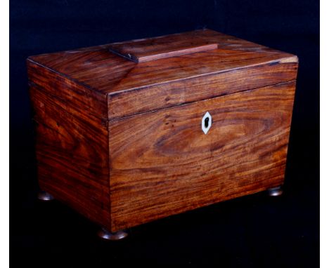 A Regency rosewood two-compartment sarcophagus tea caddy, 8 3/4" wide