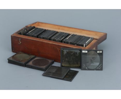Collection of Animal Magic Lantern Slides,images include cartoon, illustrated and photographs of animals, including zoos and 