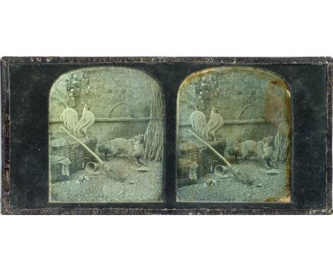 T R WILLIAMS, The Cock and Fox,stereo daguerreotype, c.1851-1855, listed by the (revived) London Stereoscopic Company as Firs