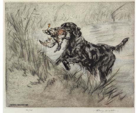 Henry Wilkinson, (British, 1921-2011) Black Retriever with Mallard Duck, drypoint highlighted with colour, signed in pencil b
