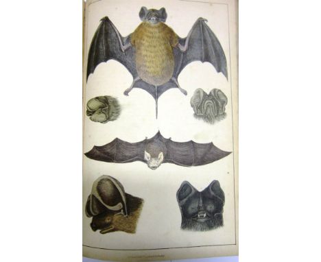 [NATURAL HISTORY].  Goldsmith, Oliver. A History of the Earth and Animated Nature, two volumes, Fullarton, Edinburgh & London