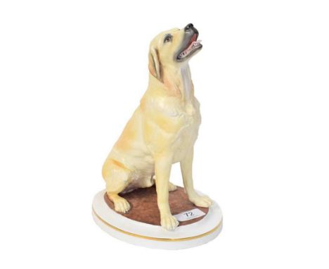 Royal Worcester model of a Yellow Labrador, by Kenneth Potts, 44/250